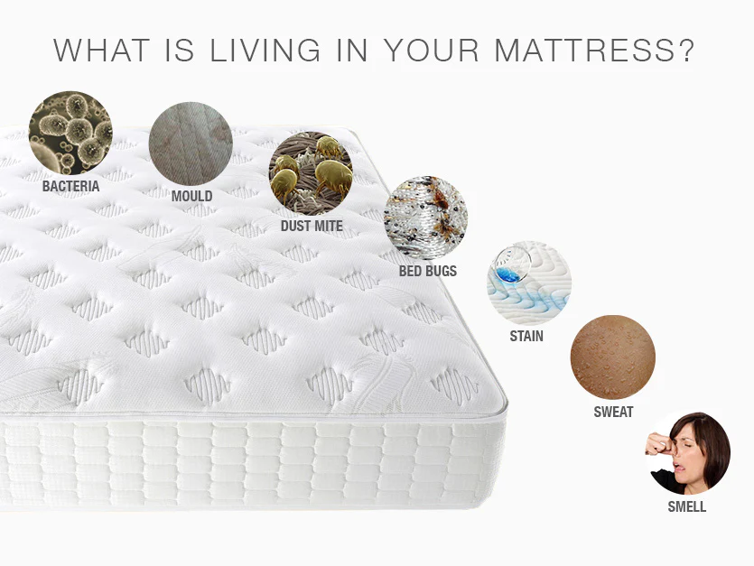 One-Off Mattress Cleaning